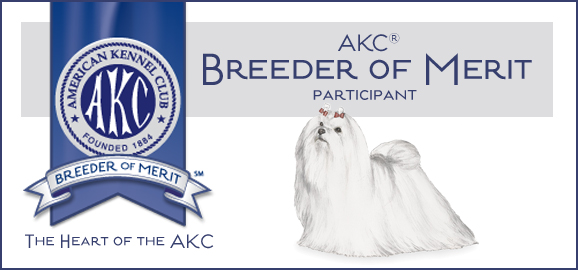 AKC Breeder of Merit